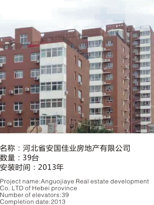 电梯安装河北省安国佳业房地产有限公司案例